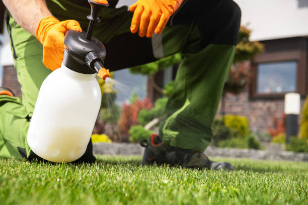 Best Flea Control Services  in Prior Lake, MN