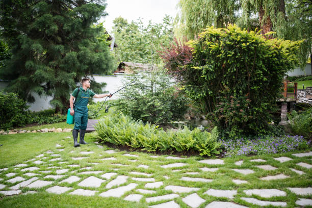 Best Mosquito Control Services  in Prior Lake, MN