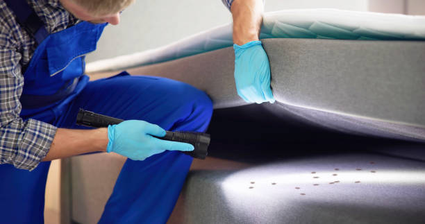 Best Exterminator Services  in Prior Lake, MN