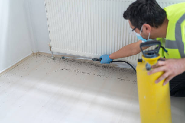 Best Local Pest Control Services  in Prior Lake, MN